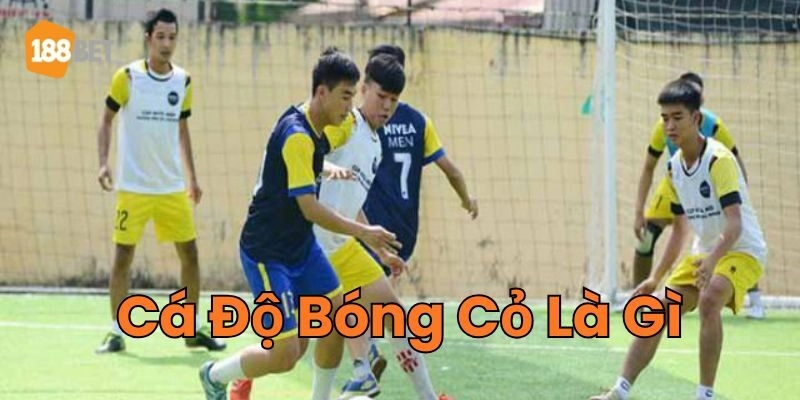 Cá Độ Bóng Cỏ Là Gì - Bí Quyết Đặt Cược Hiệu Quả Thông tin mới nhất về Cá Độ Bóng Cỏ Là Gì